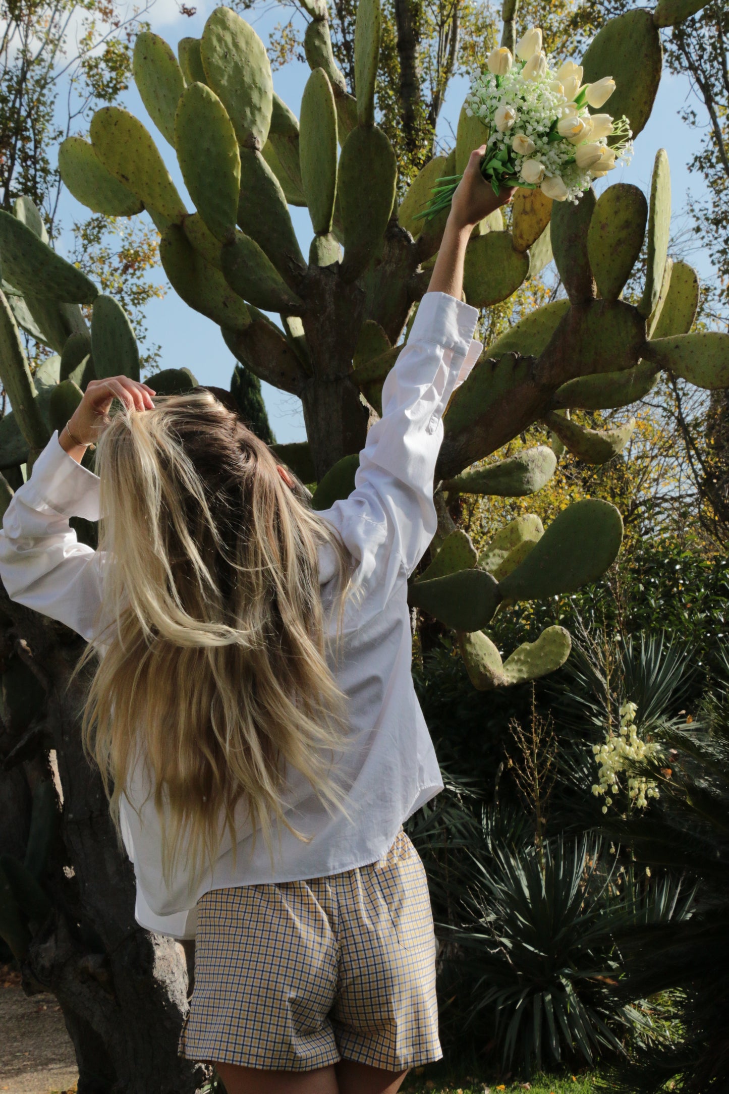 Crociato & Carbonara