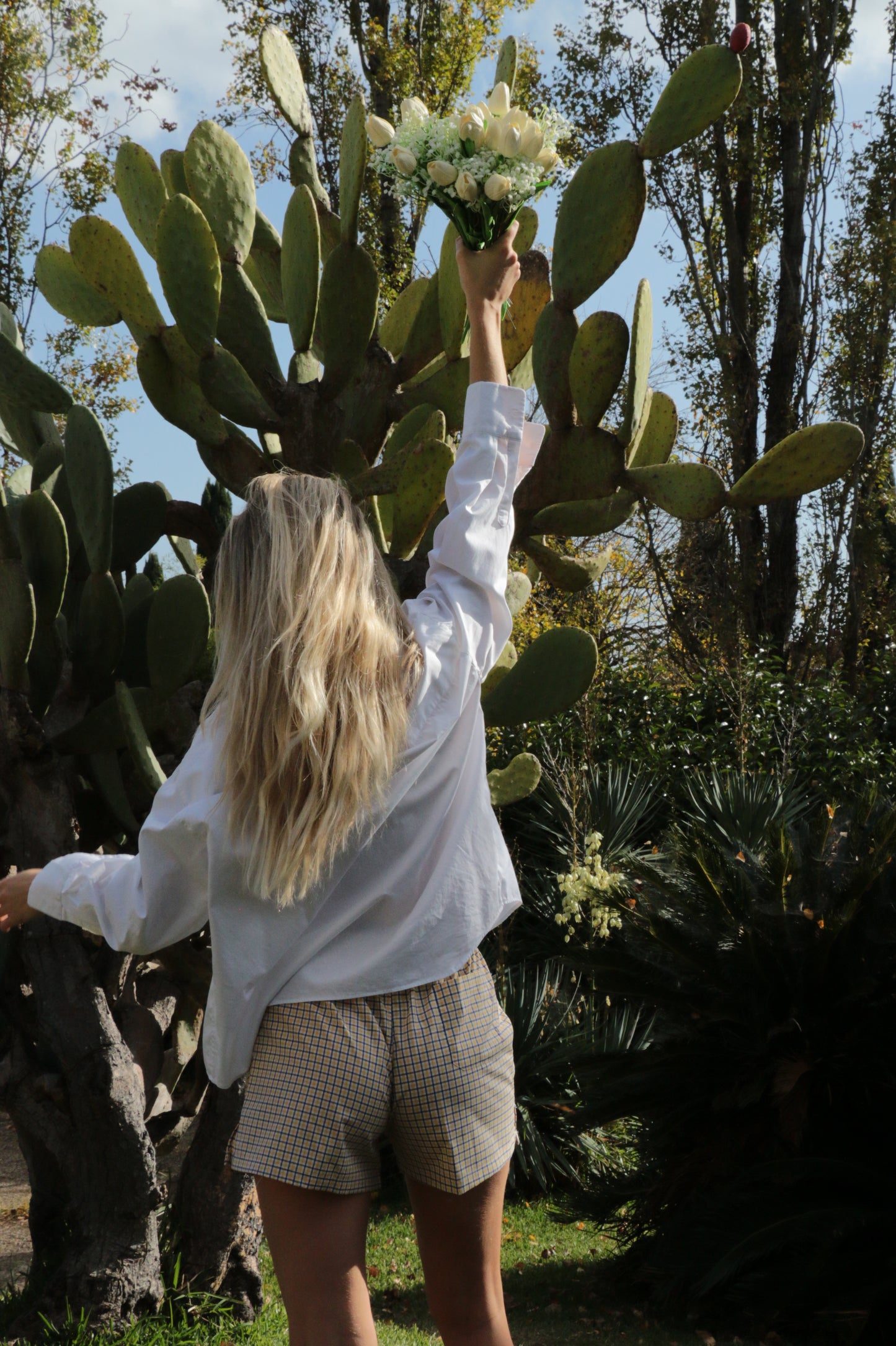 Crociato & Carbonara